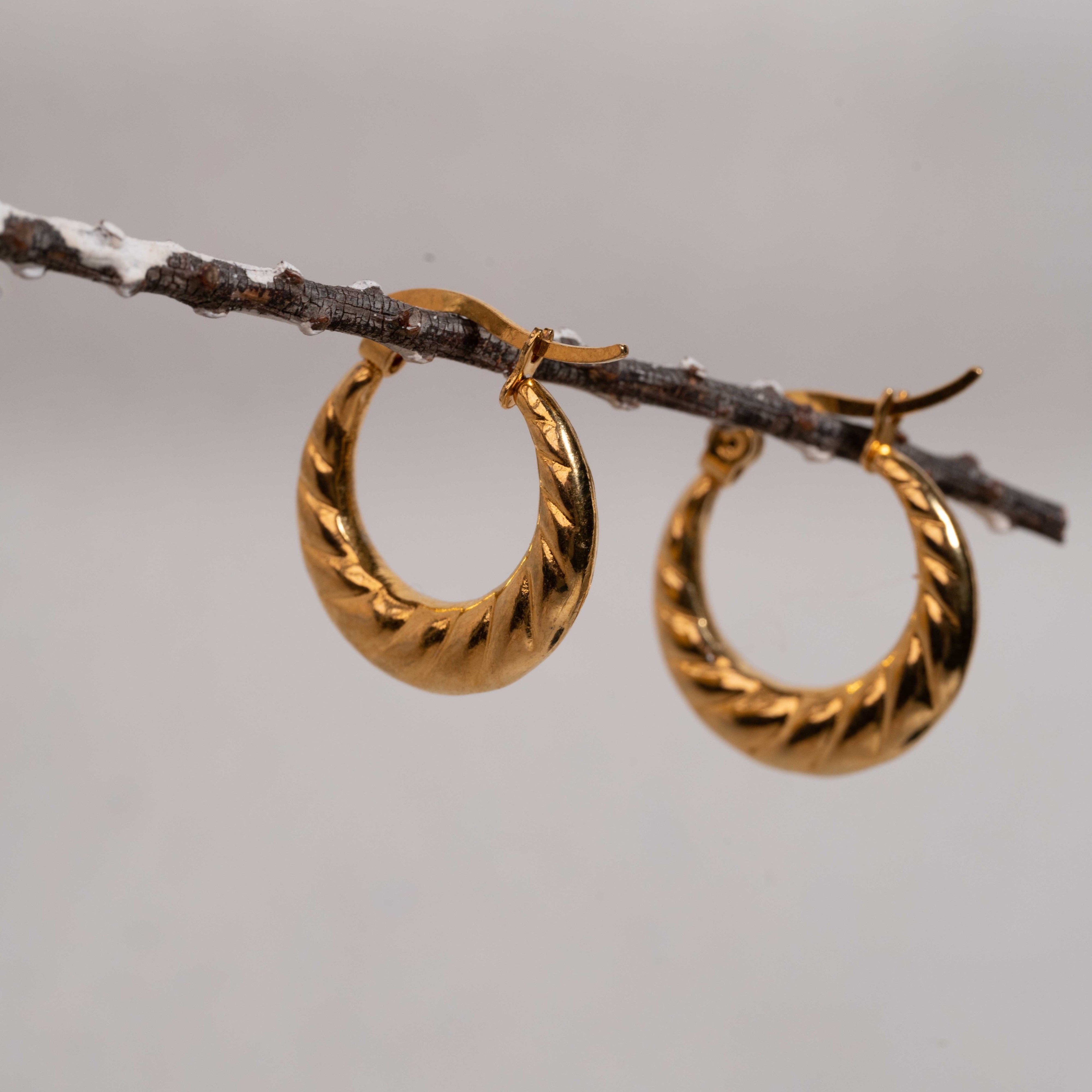 Hoop earings